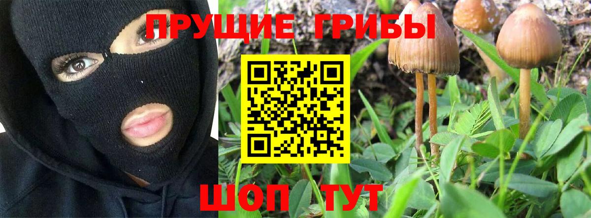 Галлюциногенные грибы Psilocybe  Вход с VPN  Калининград 