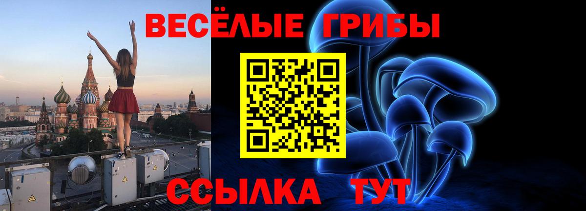 Псилоцибиновые грибы MAGIC MUSHROOMS Калининград